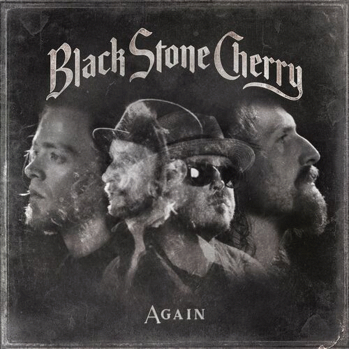 Black Stone Cherry : Again
